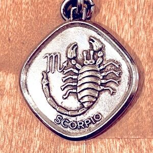 Scorpio Silver Zodiac Pendant / Medallion